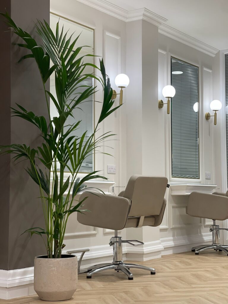 Seat and plant (1) Chair and palm